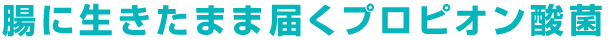 腸に生きたまま届くプロピオン酸菌SI26株、SI41株